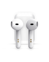 iStore-True-Wireless-Earbuds-2023